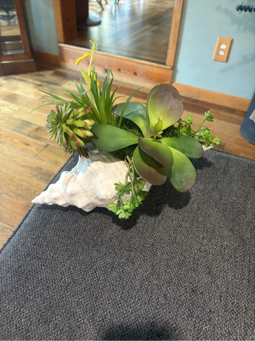 White Conch Shell Faux Succulent Arrangement Planter - Coastal Home Accent